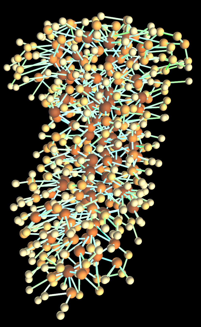 Network of galleries inside termite nest